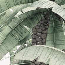 Charger l'image dans la galerie, Papier Peint Tropical WT040